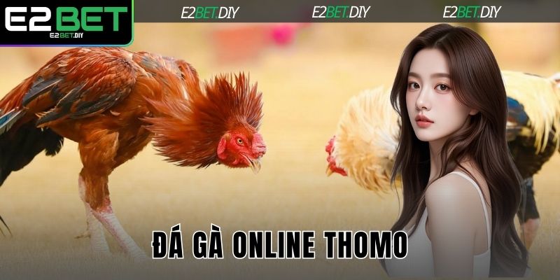 Đá gà online Thomo